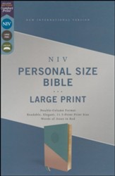 NIV Personal-Size Large-Print Bible--soft leather-look, teal/gold