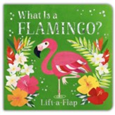 What is a Flamingo?