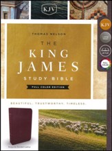 KJV Study Bible Full-Color Edition, Bonded Leather, Burgundy - Imperfectly Imprinted Bibles