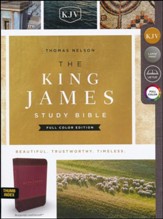 KJV Study Bible Full-Color Edition, Imitation Leather, Burgundy, Indexed