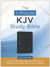 KJV 1-Minute Study Bible - DiCarta Flexible, pewter blue