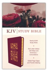 KJV Study Bible--imitation leather, crimson (indexed) - Imperfectly Imprinted Bibles