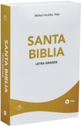 Biblia Económica Letra Grande RVR 1960  (RVR 1960 Large Print Economy Bible)
