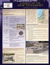 A Survey of the New Testament Laminated Sheet - eBook
