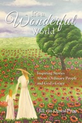 It's A Wonderful World: Inspiring Stories About Ordinary People and God's Grace - eBook