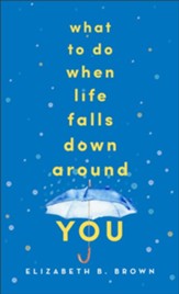 What to Do When Life Falls Down Around You - eBook