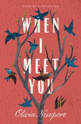 When I Meet You - eBook