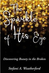 The Sparkle of His Eye the: Discovering Beauty in the Broken - eBook