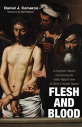 Flesh and Blood: A Dogmatic Sketch Concerning the Fallen Nature View of Christ's Human Nature - eBook