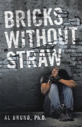 Bricks Without Straw - eBook