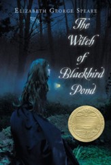 The Witch Of Blackbird Pond - eBook