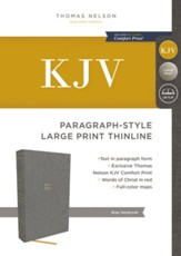 KJV, Paragraph-style Large Print Thinline Bible - eBook