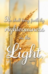 Righteousness Is the Light (Psalm 37:6, KJV) Bulletins, 100