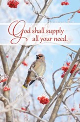 The Lord Will Supply (Philippians 4:19, KJV) Bulletins, 100