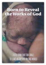 Born to Reveal the Works of God DVD