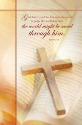 That the World Might Be Saved (John 3:17, CEB) Bulletins, 100