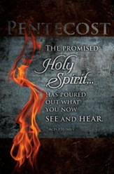The Promised Holy Spirit (Acts 2:33, NIV) Bulletins, 100