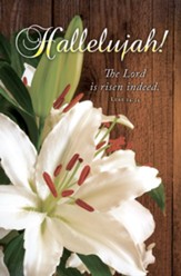 Hallelujah Lily (Luke 24:34) Bulletins, 100