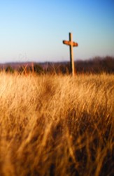 Cross and Wheat Field Bulletins, 100