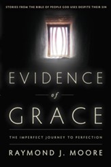 Evidence of Grace: The Imperfect Journey to Perfection - eBook