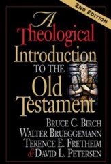 A Theological Introduction To The Old Testament - eBook