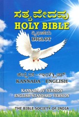 Kannada JV/ESV Bible - Slightly Imperfect