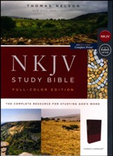 NKJV Comfort Print Full Color Study Bible, Imitation Leather, cranberry