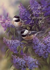Garden Songs/Birds/Get Well Cards, Box of 12