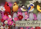 Birds Birthday Cards, Box of 12