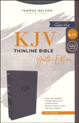 KJV, Thinline Bible Youth Edition, Leathersoft, Gray, Comfort Print - Imperfectly Imprinted Bibles
