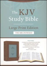 KJV Study Bible - Large Print - Indexed [Teal Inlay]