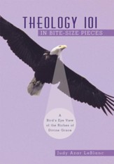 Theology 101 in Bite-Size Pieces: A Bird's Eye View of the Riches of Divine Grace - eBook