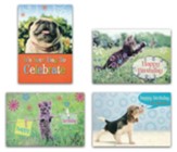Furry Friends, Birthday Cards, Box of 12