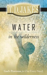 Water in the Wilderness: God's Provision for our Every Need - eBook