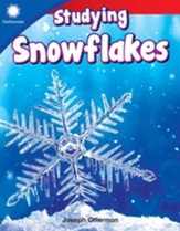 Studying Snowflakes - PDF Download [Download]