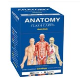 Anatomy Flash Cards (300 Cards)