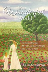 It's A Wonderful World: Inspiring Stories About Ordinary People and God's Grace