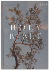 NRSV Catholic Edition Bible,  Eucalyptus--hardcover