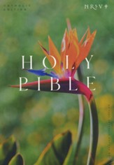 NRSV Catholic Edition Bible, Bird of Paradise--Softcover