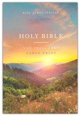 KJV Large Print Outreach New Testament, Comfort Print--softcover, scenic
