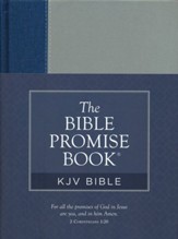 Bible Promise Book KJV Bible- paper over boards, gender neutral