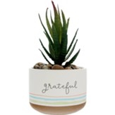 Artificial Potted Plant- Grateful