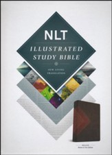 NLT Illustrated Study Bible--soft leather-look, brown/tan