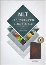 NLT Illustrated Study Bible--soft leather-look, brown/tan (indexed)