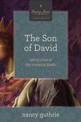 The Son of David (A 10-week Bible Study): Seeing Jesus in the Historical Books - eBook