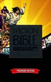 ESV Action Study Bible Boys, Virtual Leather, Slate Gray  - Slightly Imperfect