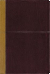 KJV and Amplified Parallel Bible,  Large Print, Leathersoft, Camel/rich red  - Imperfectly Imprinted Bibles