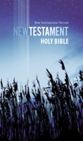 NIV Outreach New Testament, Paperback, Updated