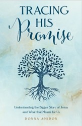 Tracing His Promise: Understanding the Bigger Story of Jesus and What That Means for Us
