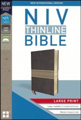 NIV Thinline Bible Large Print Brown and Tan, Imitation Leather